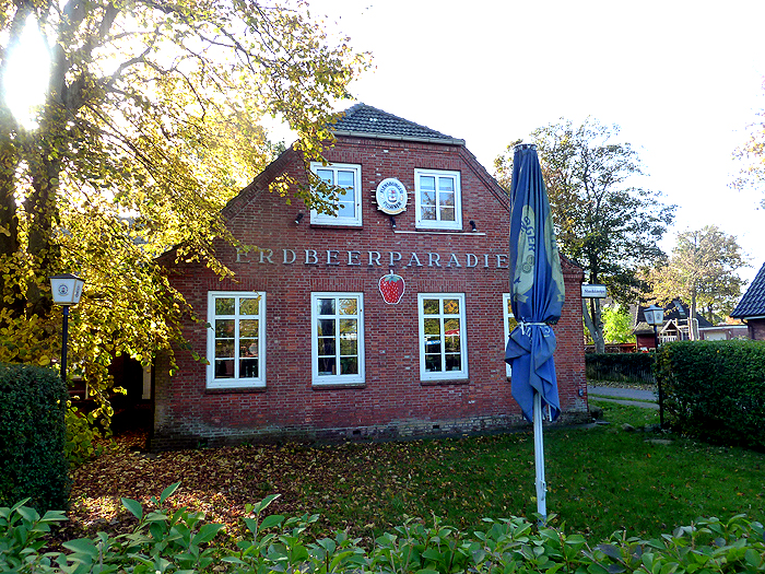 foehr41