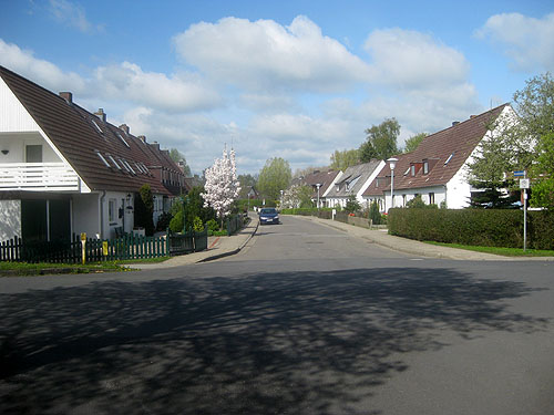 friedr061