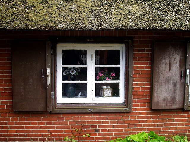 hooge059