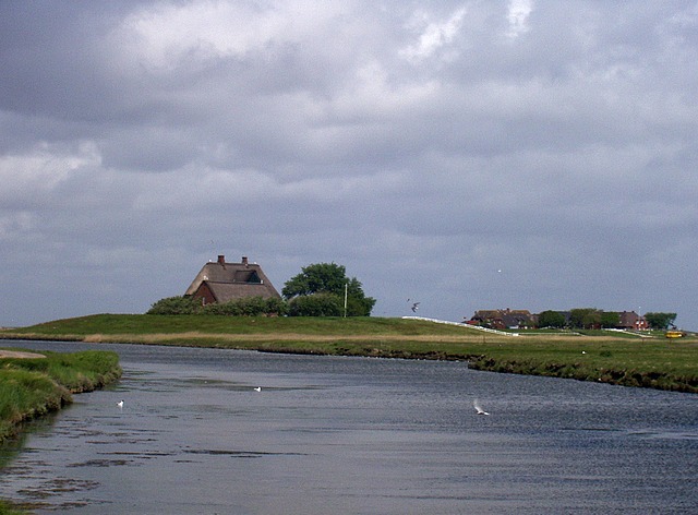 hooge086