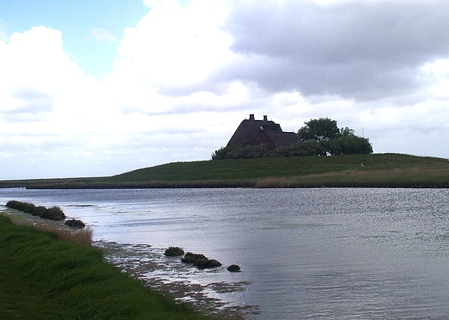 hooge087