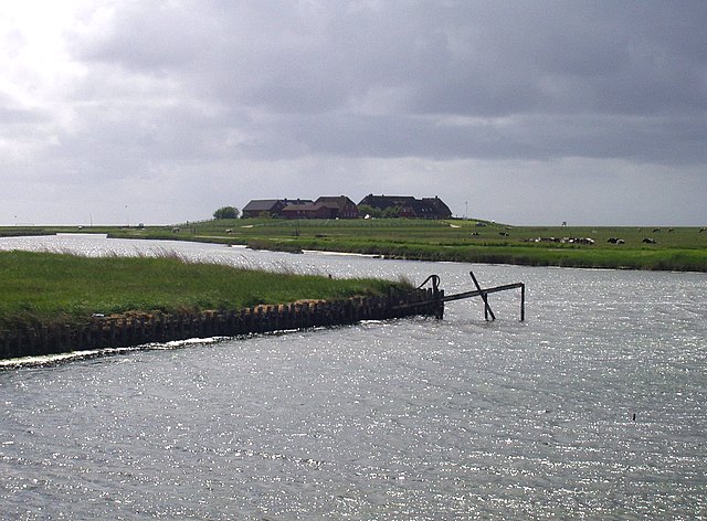 hooge097