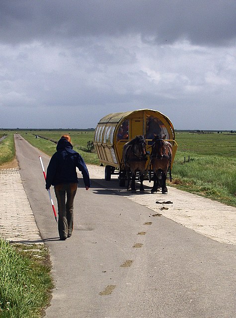 hooge098