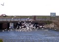 hooge090