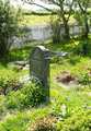 hooge103