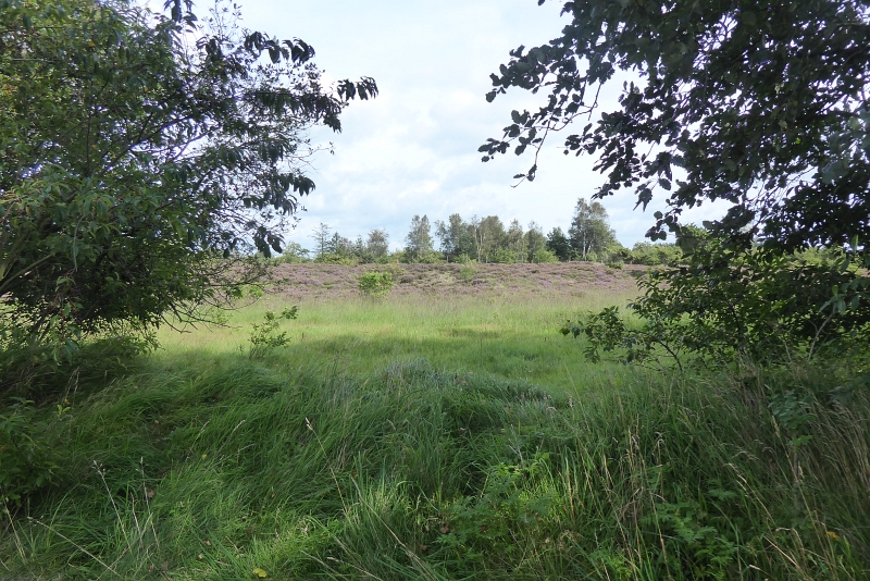 loewenstedt043