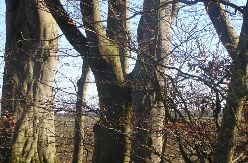 soebenbargen006
